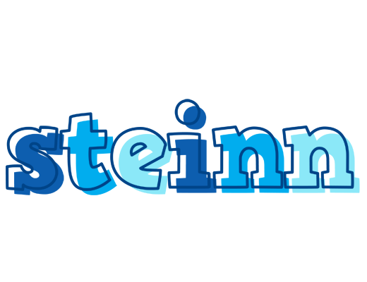 Steinn sailor logo