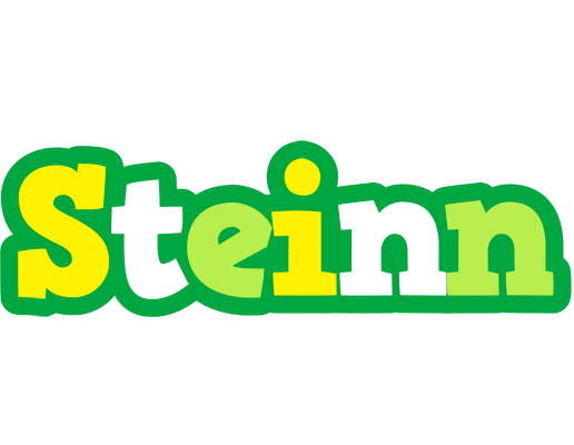 Steinn soccer logo