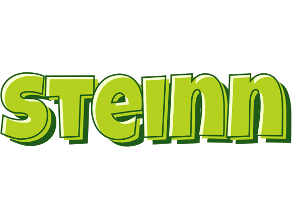 Steinn summer logo