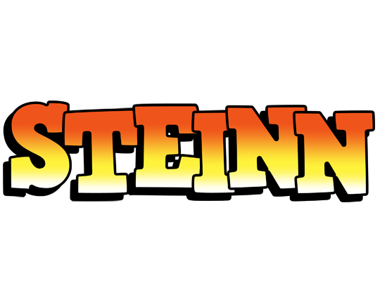 Steinn sunset logo