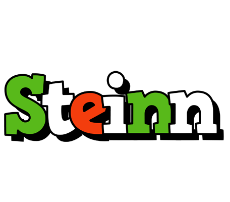 Steinn venezia logo