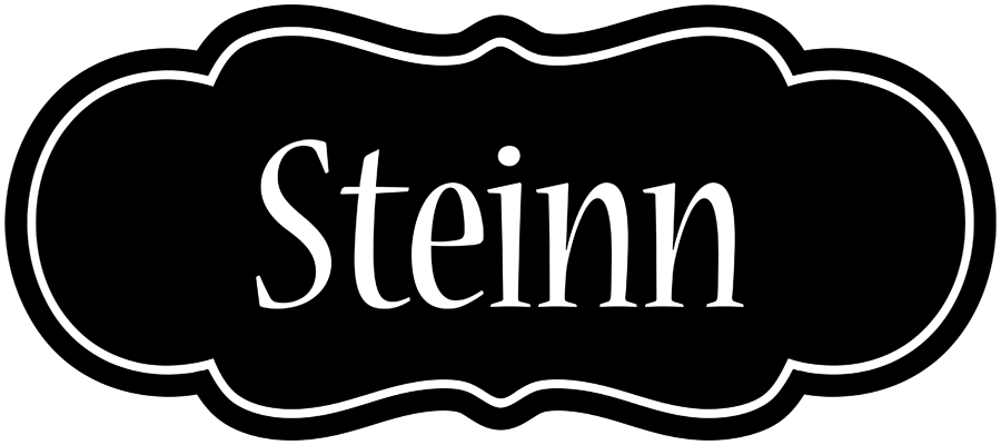 Steinn welcome logo