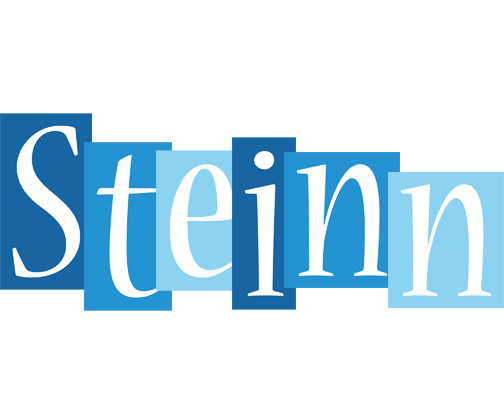 Steinn winter logo