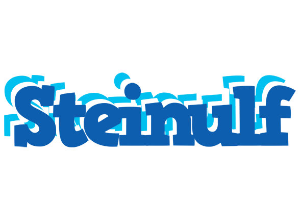 Steinulf business logo