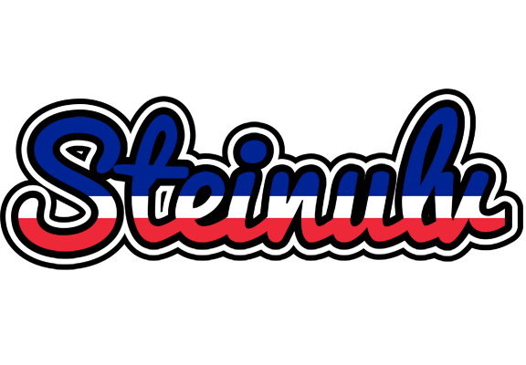 Steinulv france logo