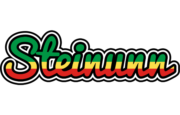 Steinunn african logo