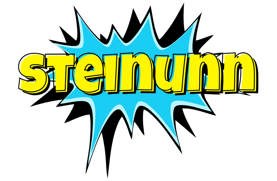 Steinunn amazing logo