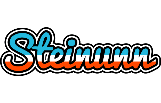 Steinunn america logo
