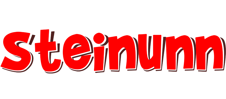 Steinunn basket logo