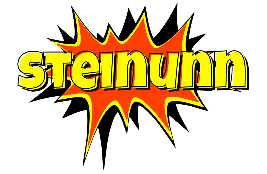 Steinunn bazinga logo
