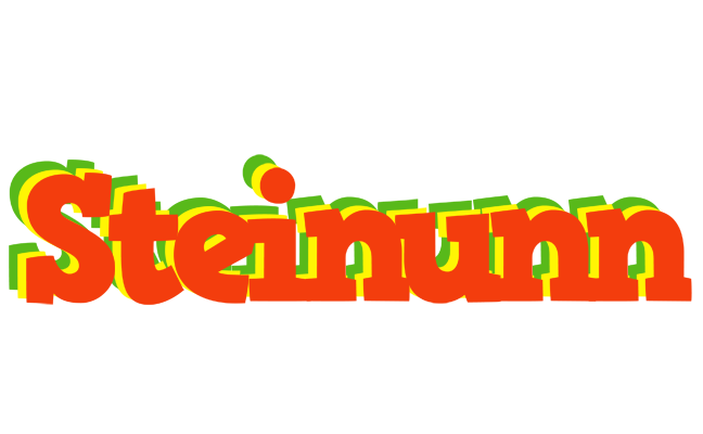 Steinunn bbq logo