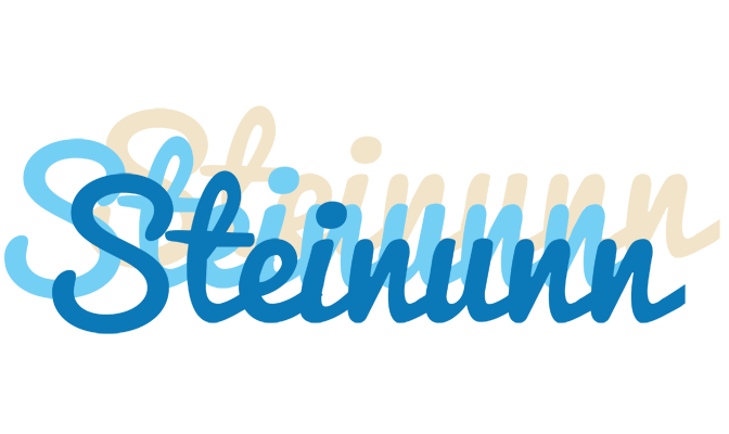 Steinunn breeze logo