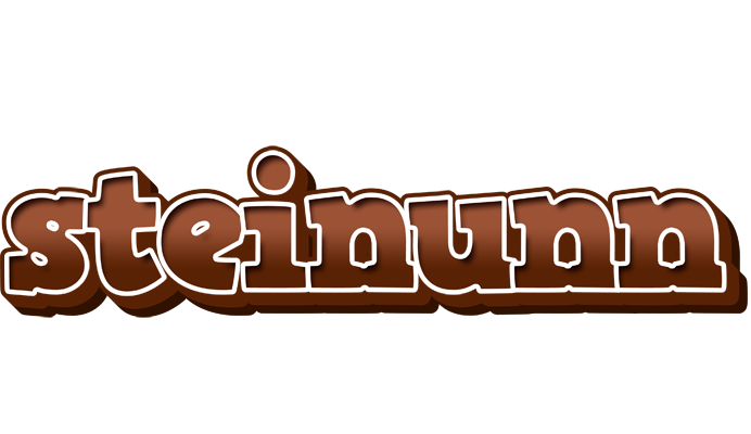 Steinunn brownie logo