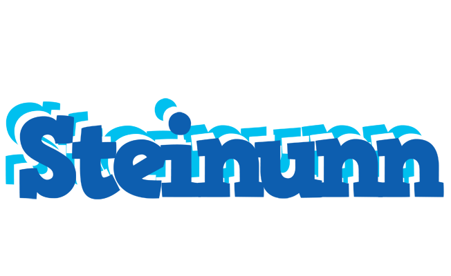 Steinunn business logo