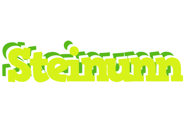 Steinunn citrus logo