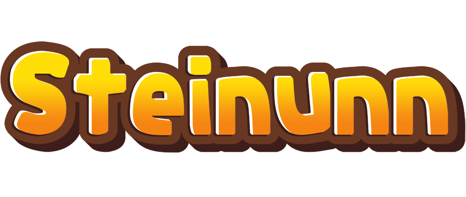 Steinunn cookies logo