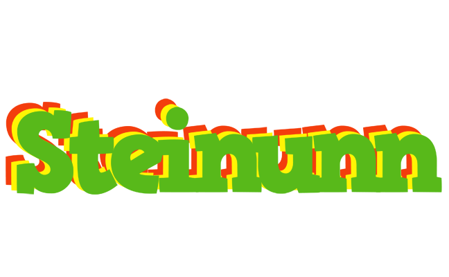 Steinunn crocodile logo