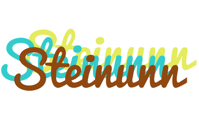Steinunn cupcake logo