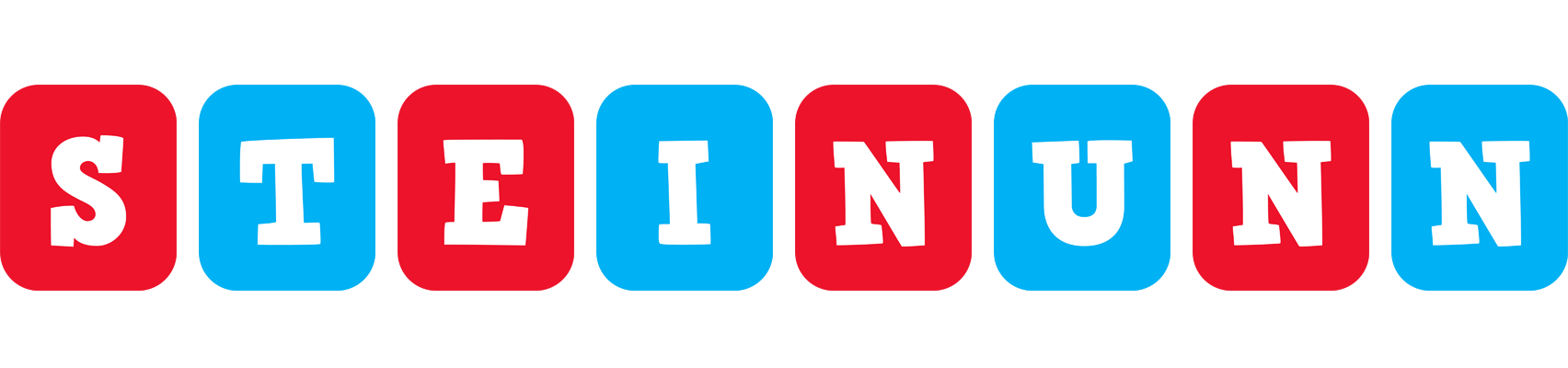 Steinunn diesel logo