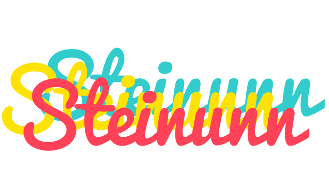 Steinunn disco logo
