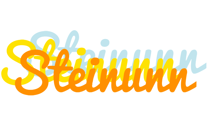 Steinunn energy logo