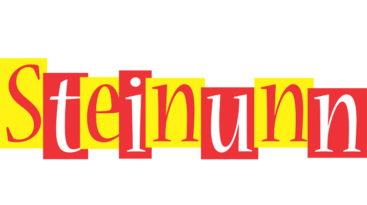 Steinunn errors logo