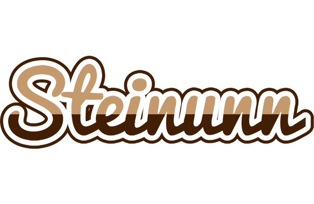 Steinunn exclusive logo