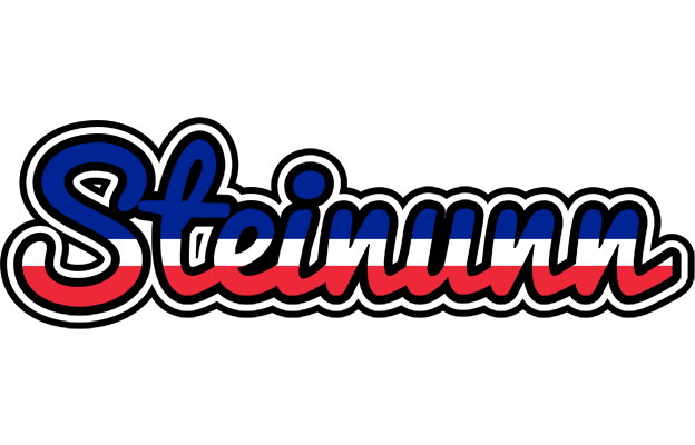 Steinunn france logo