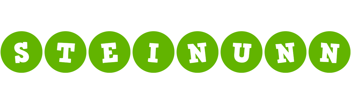 Steinunn games logo