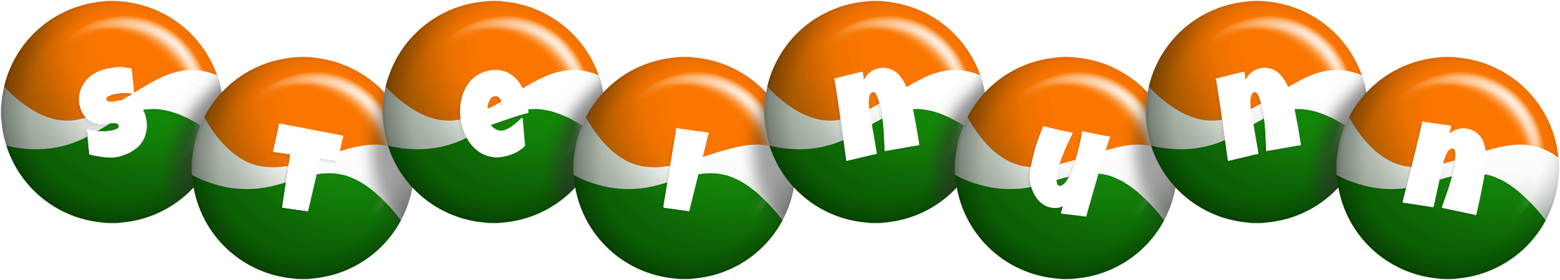 Steinunn india logo