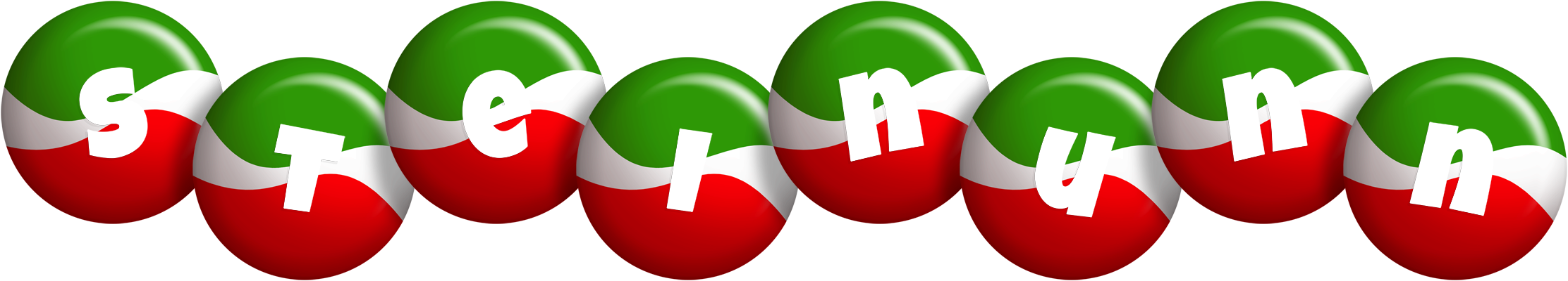 Steinunn italy logo