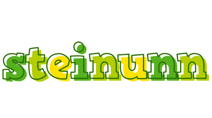 Steinunn juice logo