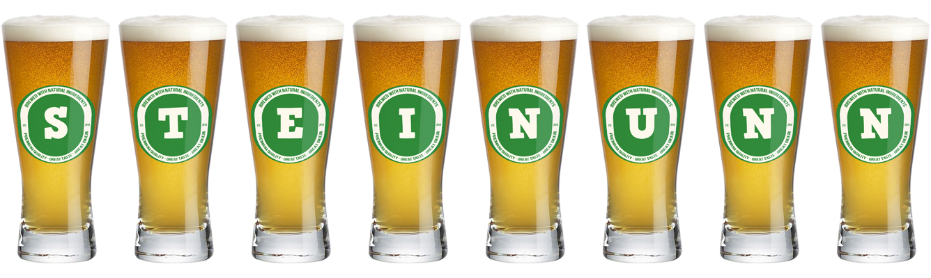 Steinunn lager logo
