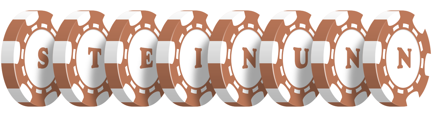 Steinunn limit logo