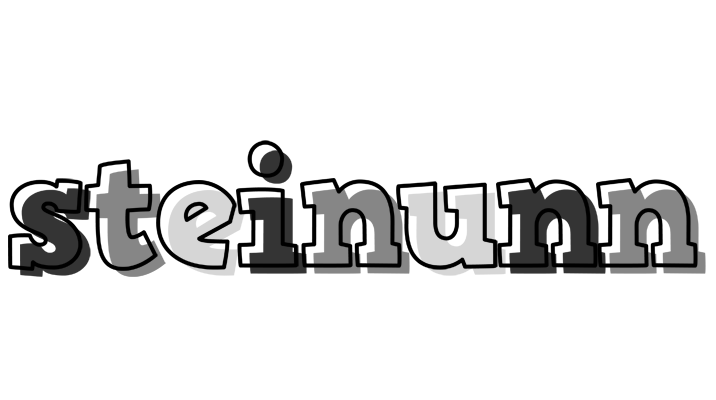 Steinunn night logo