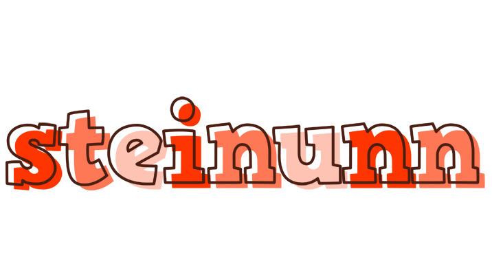 Steinunn paint logo