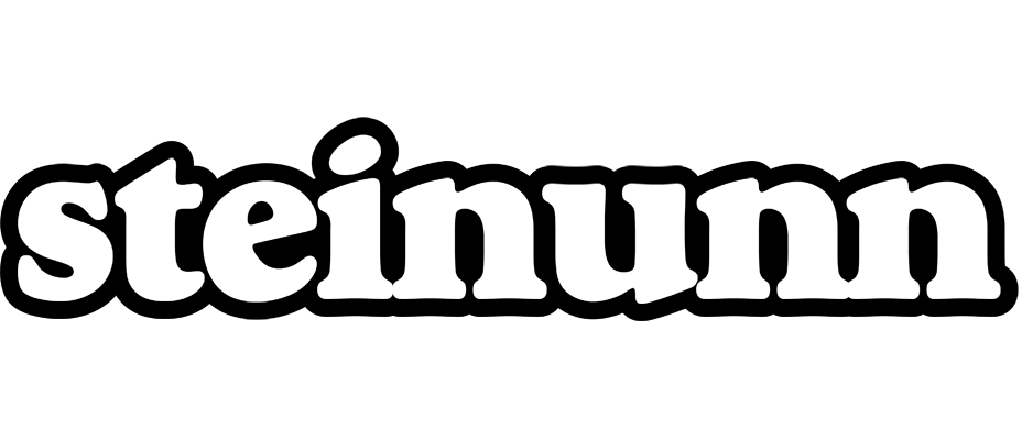Steinunn panda logo