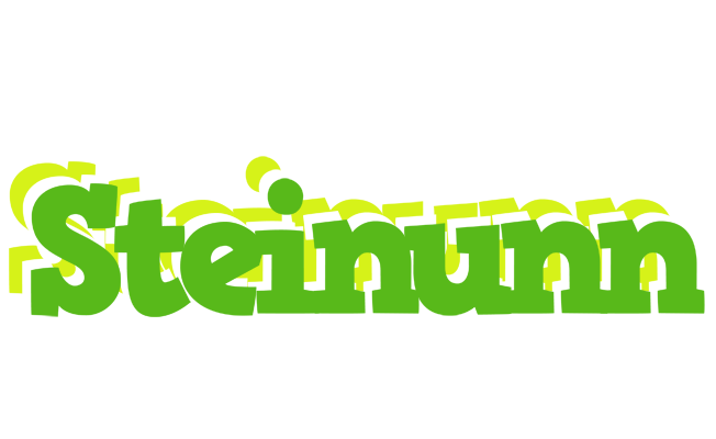 Steinunn picnic logo