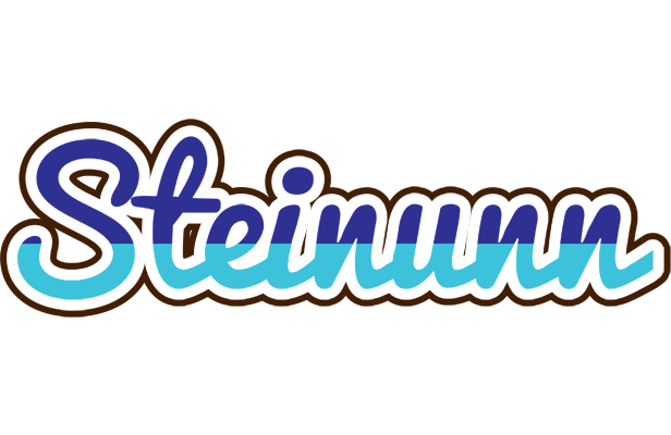 Steinunn raining logo