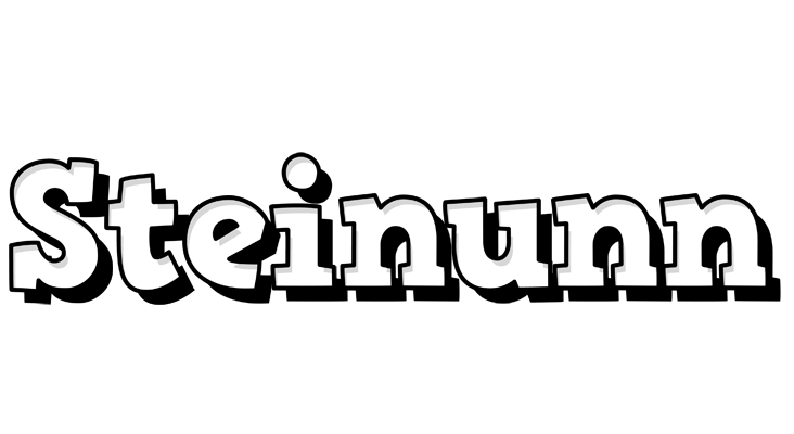Steinunn snowing logo