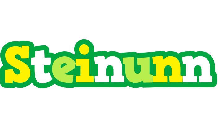 Steinunn soccer logo