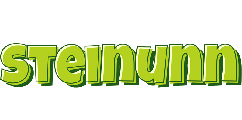 Steinunn summer logo