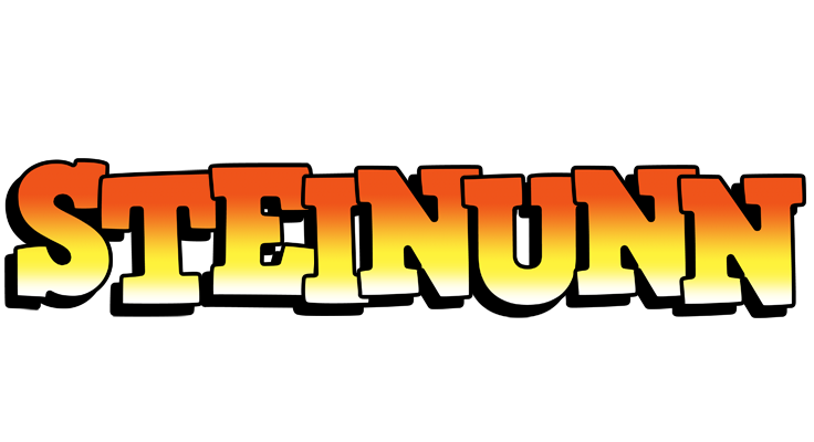 Steinunn sunset logo