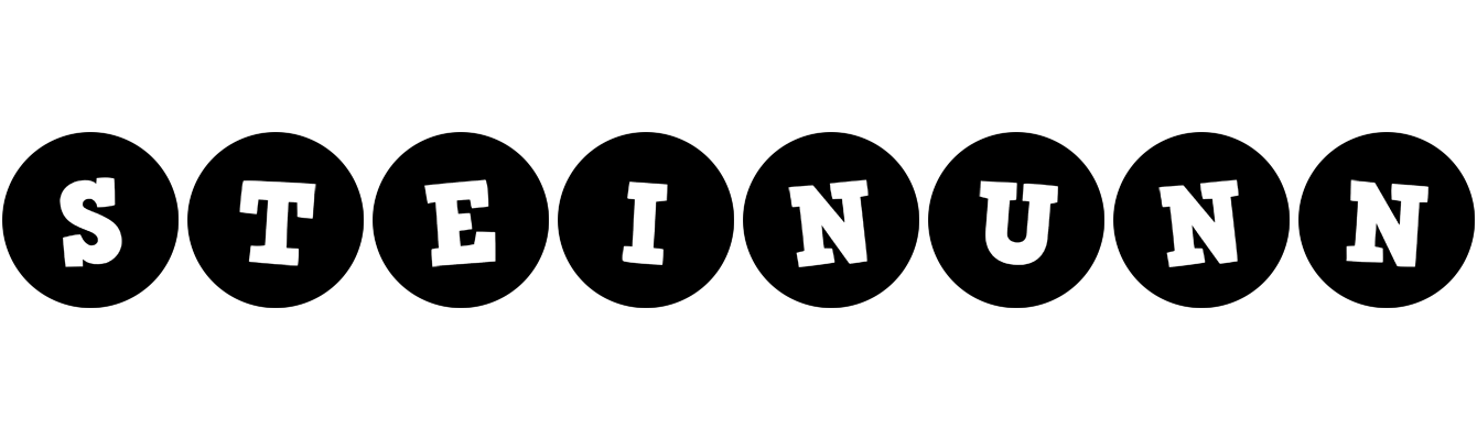 Steinunn tools logo