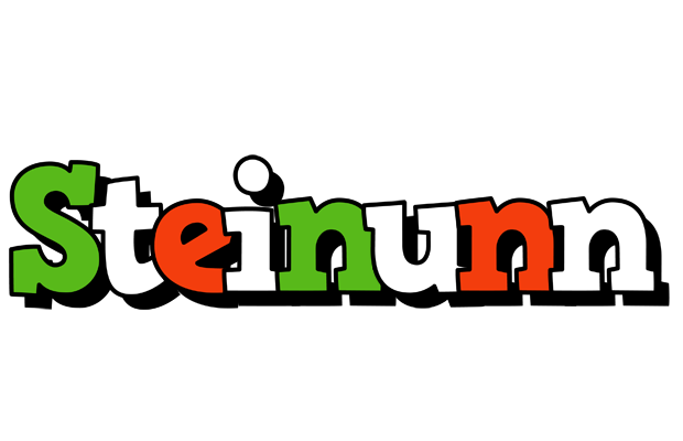 Steinunn venezia logo