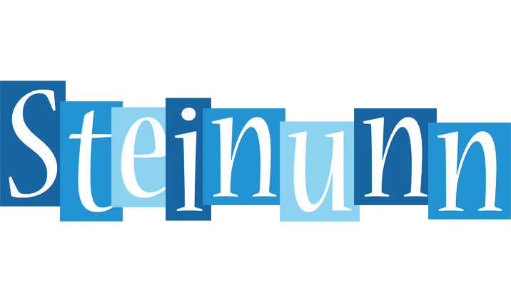 Steinunn winter logo