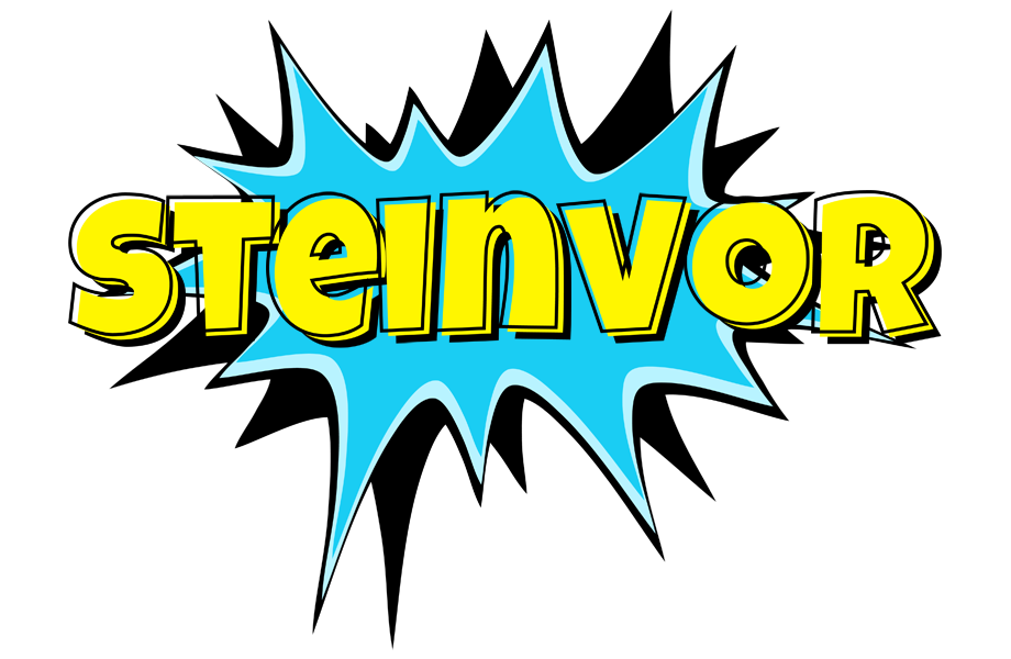 Steinvor amazing logo