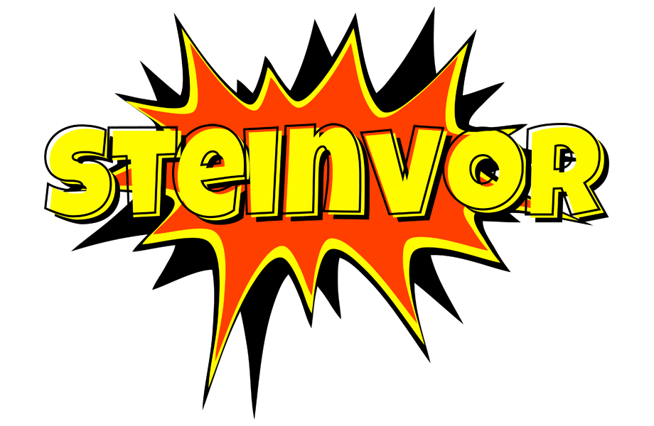 Steinvor bazinga logo