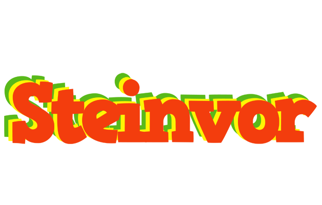 Steinvor bbq logo