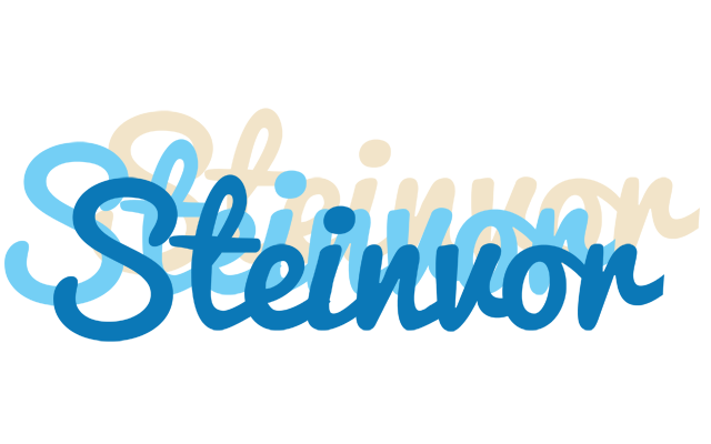 Steinvor breeze logo